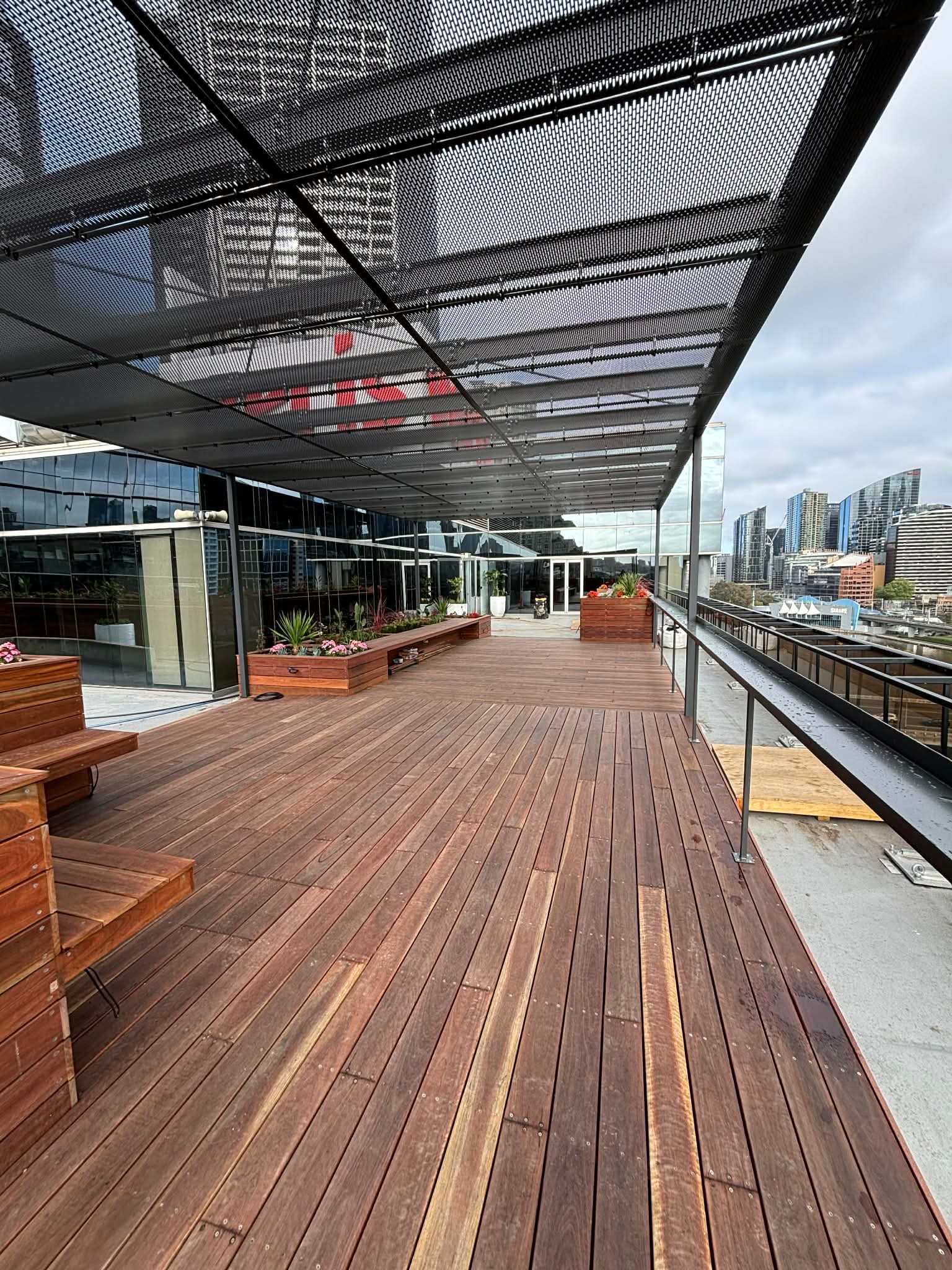 Spotted Gum